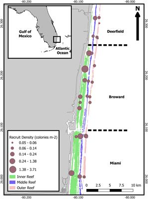 Spatial differences in recruit density, survival, and size structure prevent population growth of stony coral assemblages in southeast Florida
